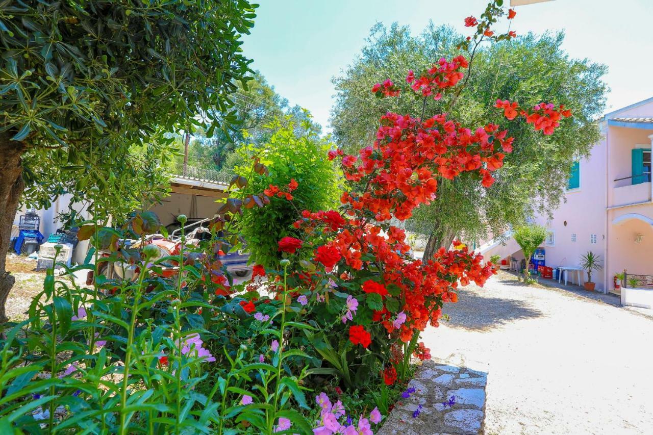 Fran Apartments Agios Spyridon  外观 照片